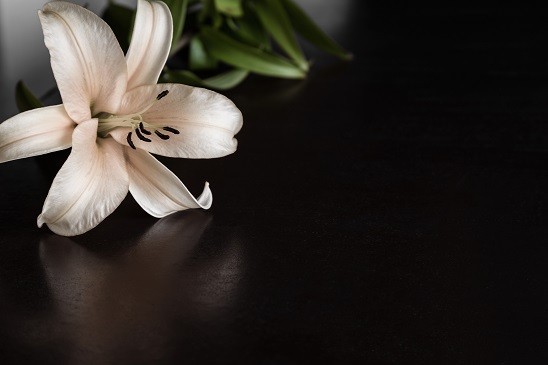 Lilly